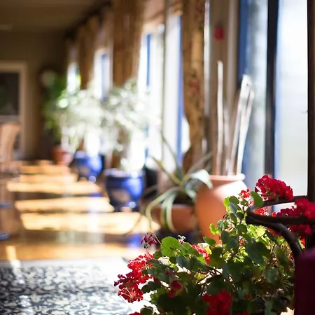 Sheedy's Boutique Lisdoonvarna