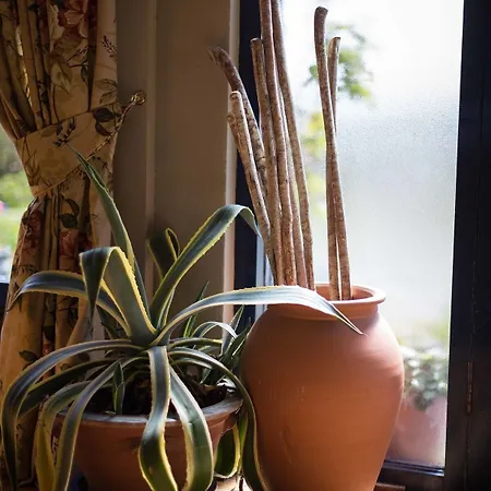 Sheedy's Boutique 4*